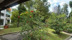 Blk 216 Jurong East Street 21 (Jurong East), HDB Executive #605500211